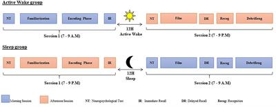 Young and Older Adults Benefit From Sleep, but Not From Active Wakefulness for Memory Consolidation of What-Where-When Naturalistic Events